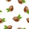 Pecan hand drawn watercolor illustration. Seamless pattern.