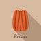 Pecan icon, flat style