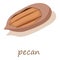 Pecan icon, isometric 3d style