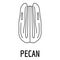 Pecan icon, outline style