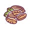 Pecan nut color line icon. Nuts in the shell and with leaves. Pictogram for web page, mobile app, promo. UI UX GUI design element