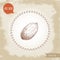 Pecan nut. Hand drawn sketch style whole pecan nut kernel. Organic snack and food vector illustration