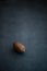 Pecan Nut resting on dark background