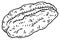 Pecan nut without shell. Vector engraving black vintage