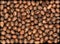 Pecan Nuts in Hard Shell Background Texture