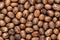 Pecan Nuts in Hard Shell Background Texture