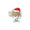 Pecan pie mascot with santa claus on white background