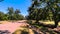 Pecan tree orchard in rural Georgia USA pan of road