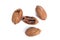 Pecans nuts on white background.