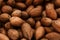 Pecans pile background