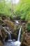 Pecca  Twin Falls, Ingleton Waterfall Trail, Yorkshire, UK