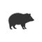 Peccary icon