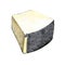 Pecorino cheese watercolor illustration on black background