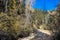 Pecos River Canyon State Park in New Mexico