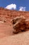 Peculiar rock formations of the mountain range, Vermillion cliff range, Page, AZ, USA