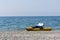 Pedal Boat on Sea Shore