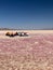 Pedal boats in the middle of salt lake in Iran. Swan pedal boat. Salt desert.