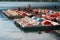 A pedalo - Pedal boats at the lake