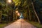 Pedastrian pavement and bicycle path in a park at dusk