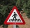 Pedestrain crossing warning post
