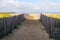 Pedestrian access to the sand of the beach protected by wooden barriers