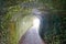 pedestrian access tunnel to the Faial caldera of the Azores archipelago