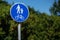 pedestrian bicycle zone sign in blue circle on background of green trees in park. city street sign concept. sign with person and