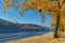 Pedestrian bridge across the Dnieper River, autumn landscape, Kiev