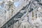 Pedestrian bridge across a ravine in a beautiful snowy day in winter