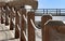 Pedestrian bridge along the coast with a fence with a rope. Sea summer landscape