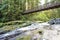 Pedestrian bridge over a small mountain river with boulders overgrown with bright green moss in a wild forest