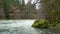 Pedestrian Bridge over the Unpqua River Oregon Forest