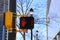 A pedestrian crossing signal with a red hand and a number one attached to a black pole with bare winter trees