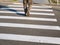 Pedestrian crossing the zebra road