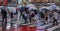 Pedestrian Crowd Crossing Street In Rain, Tokyo, Japan