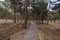 pedestrian dirt road in Sierra Nevada