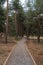 pedestrian dirt road in Sierra Nevada