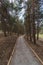 pedestrian dirt road in Sierra Nevada