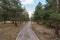 pedestrian dirt road in Sierra Nevada