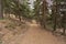 pedestrian dirt road in Sierra Nevada