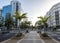 A pedestrian footpath in the middle of Avenue Tres de Mayo with multiple palm trees on the sides, Santa Cruz de Tenerife, Spain