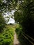 Pedestrian footpath through the Sussex countryside.