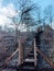 Pedestrian gate through the forrest keeping animals out