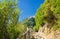 Pedestrian hiking stone path trail with railing between Corniglia and Vernazza villages with green trees, blue sky background, Nat