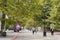 Pedestrian Lenin Street in center of Kerch city. People calmly walk along shady alley of tall plane trees. Warm autumn day