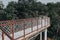 Pedestrian overpass in urban forest park