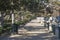 Pedestrian path in the classic gardens in Aranjuez Spain