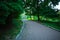 Pedestrian path in summer green city park on background of trees