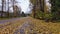 Pedestrian Pathway in Suburban Neighborhood. Fall Season. Fallen leaves after windy storm.