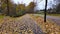 Pedestrian Pathway in Suburban Neighborhood. Fall Season. Fallen leaves after windy storm.